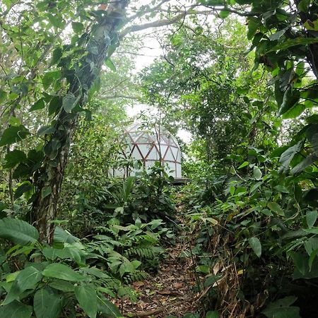 Taorayina Nature Lodge- Immersed In The Forest エル・ザイノ エクステリア 写真
