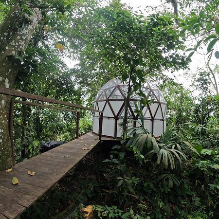 Taorayina Nature Lodge- Immersed In The Forest エル・ザイノ エクステリア 写真