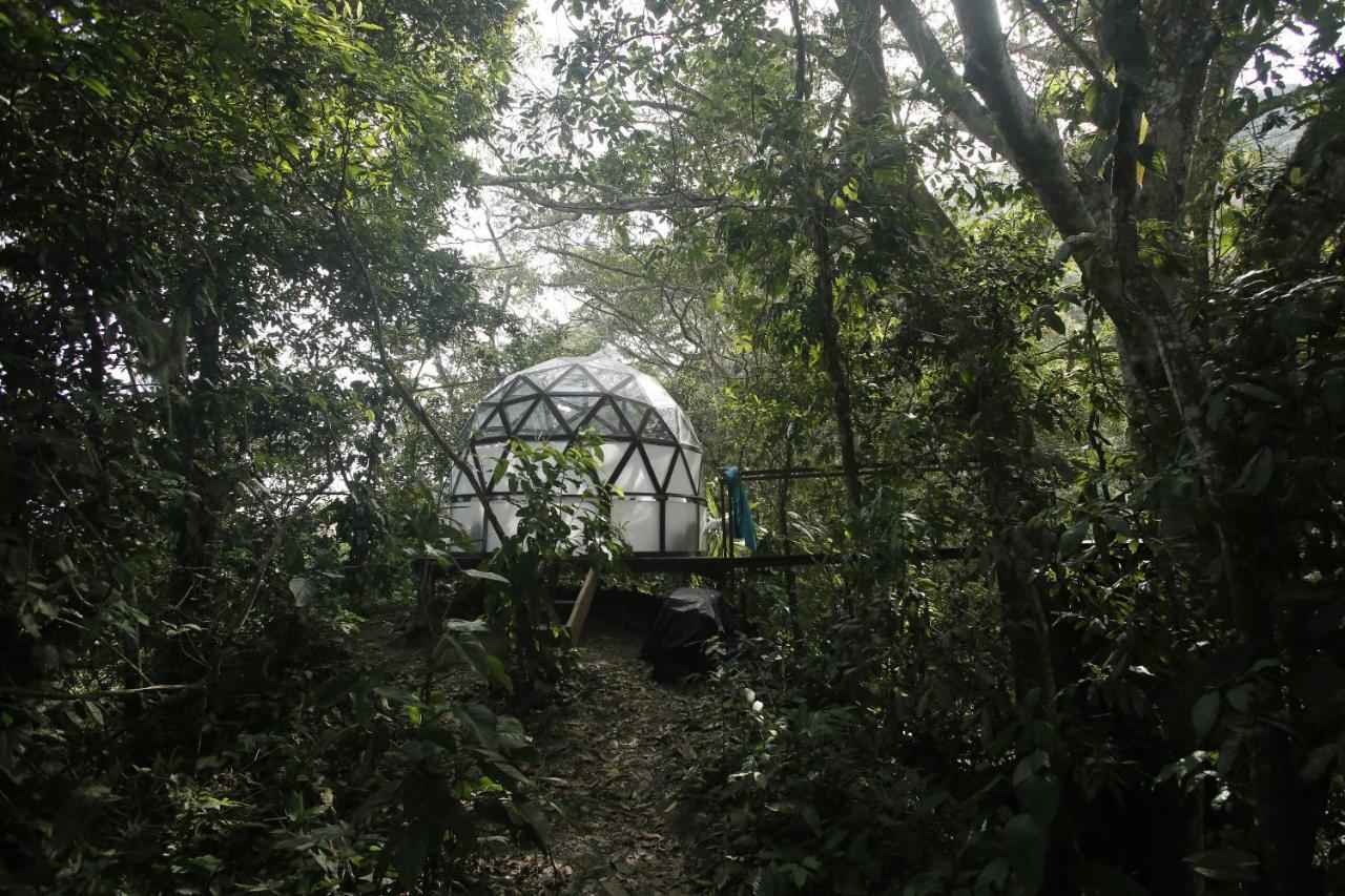 Taorayina Nature Lodge- Immersed In The Forest エル・ザイノ エクステリア 写真