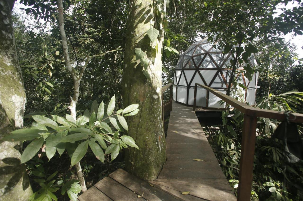 Taorayina Nature Lodge- Immersed In The Forest エル・ザイノ エクステリア 写真