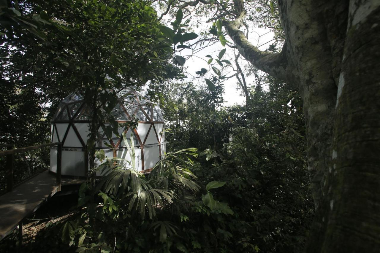 Taorayina Nature Lodge- Immersed In The Forest エル・ザイノ エクステリア 写真
