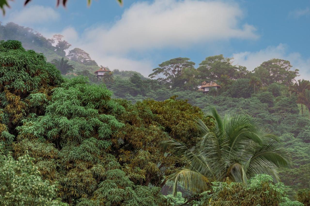 Taorayina Nature Lodge- Immersed In The Forest エル・ザイノ エクステリア 写真