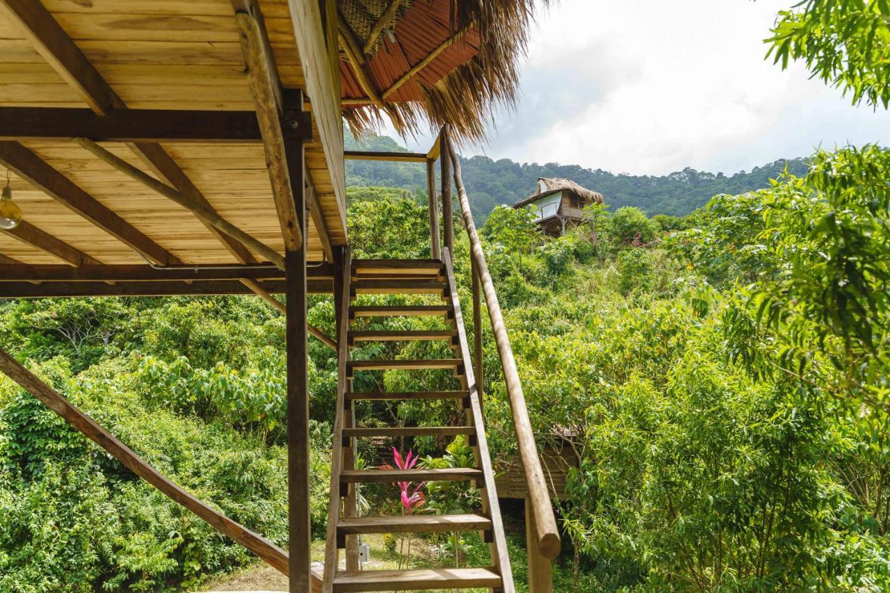 Taorayina Nature Lodge- Immersed In The Forest エル・ザイノ エクステリア 写真