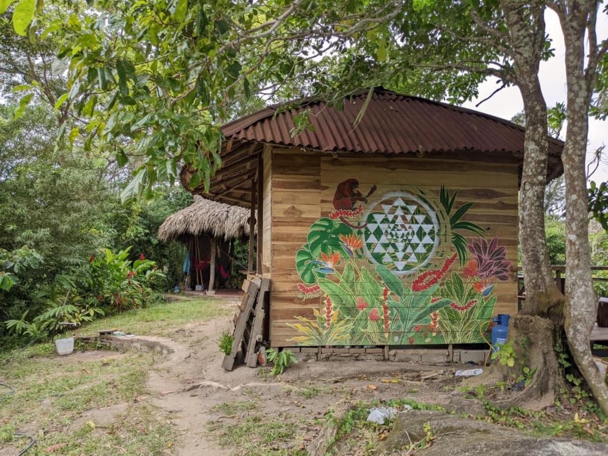 Taorayina Nature Lodge- Immersed In The Forest エル・ザイノ エクステリア 写真