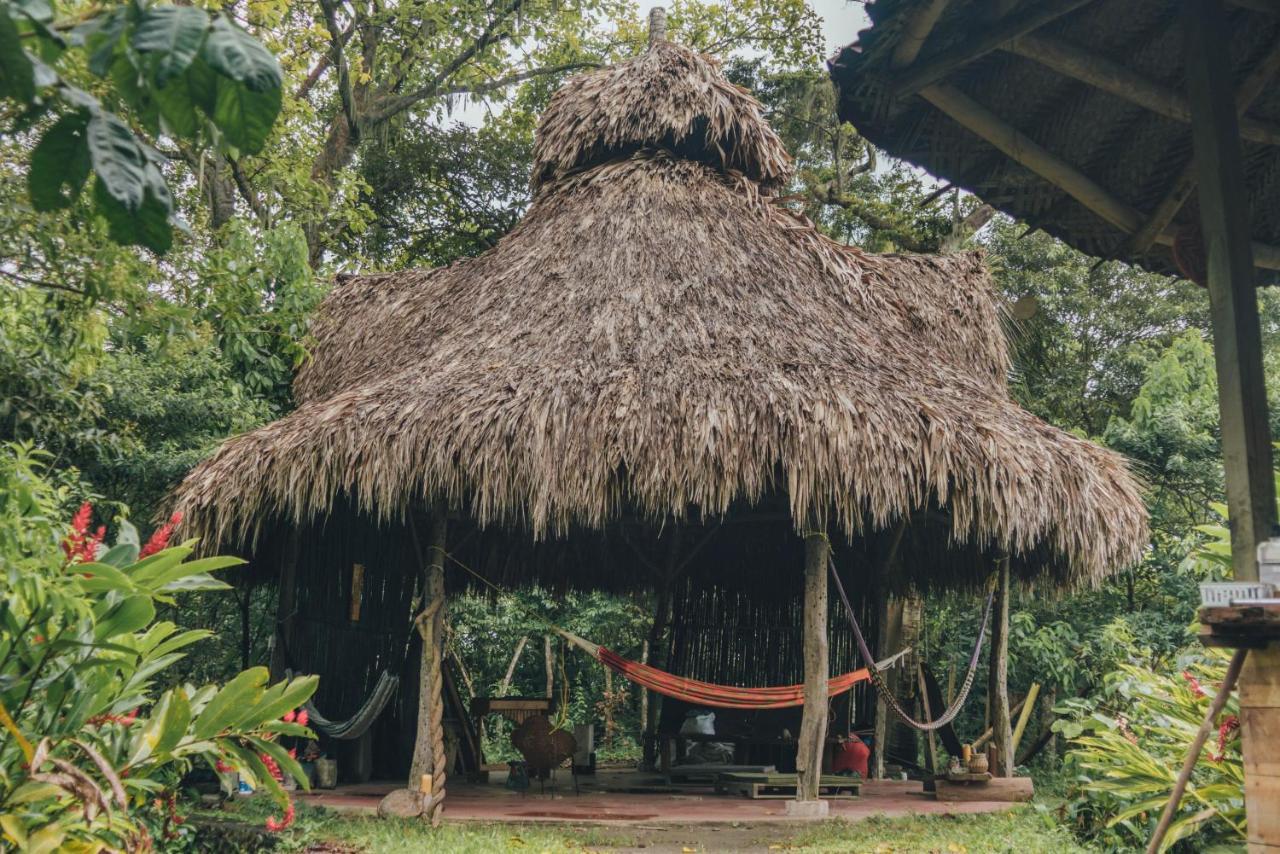 Taorayina Nature Lodge- Immersed In The Forest エル・ザイノ エクステリア 写真