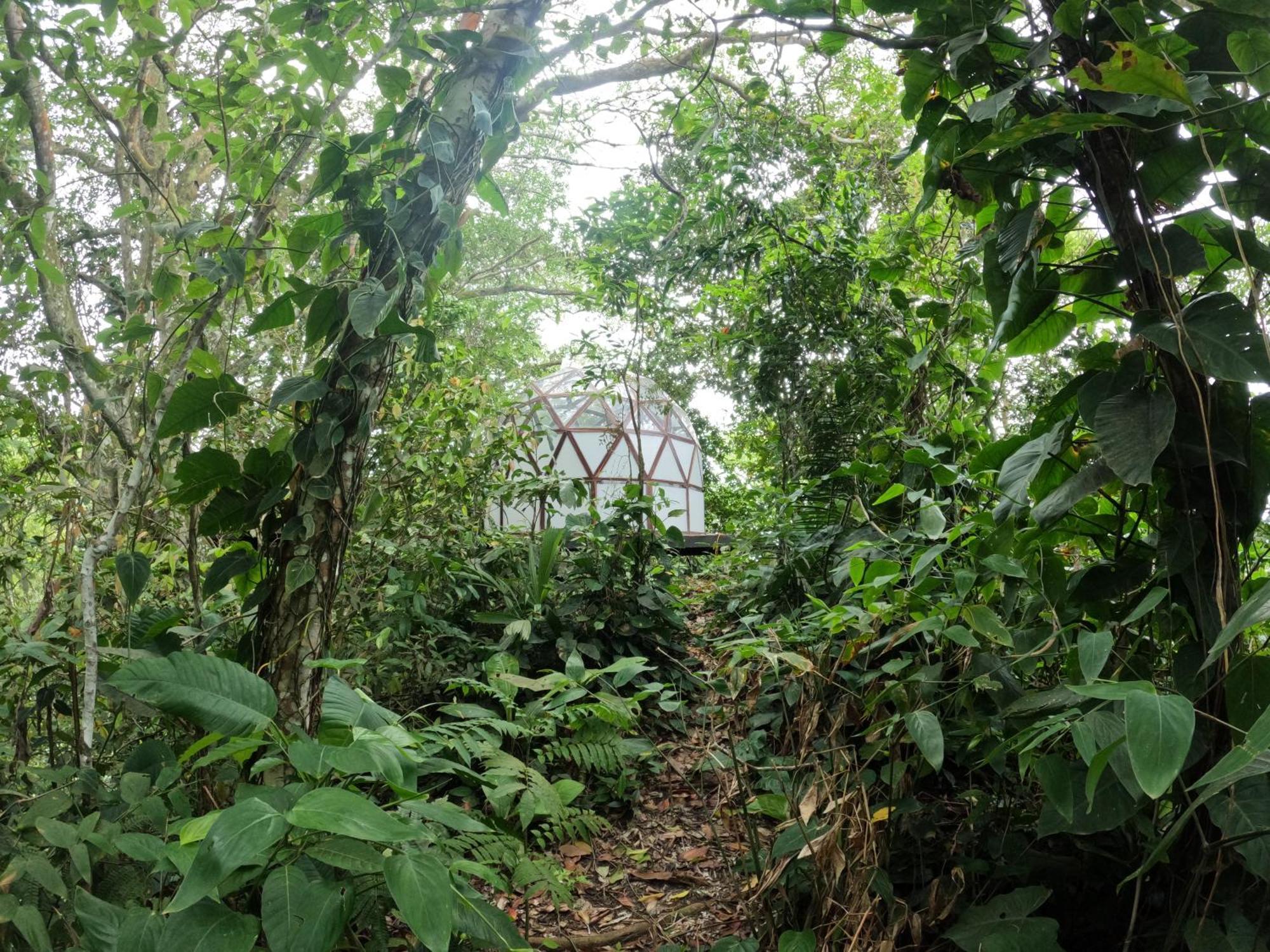 Taorayina Nature Lodge- Immersed In The Forest エル・ザイノ エクステリア 写真