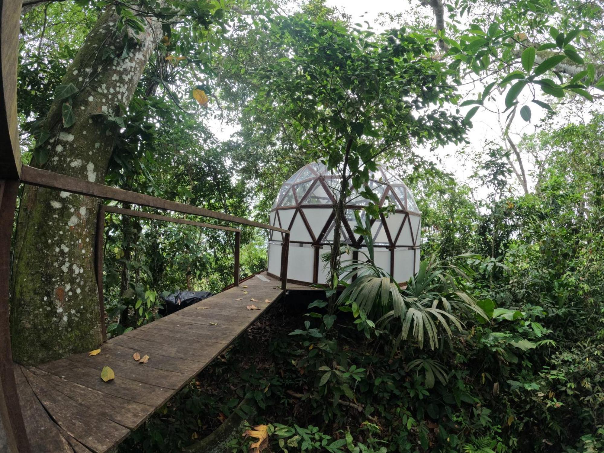 Taorayina Nature Lodge- Immersed In The Forest エル・ザイノ エクステリア 写真