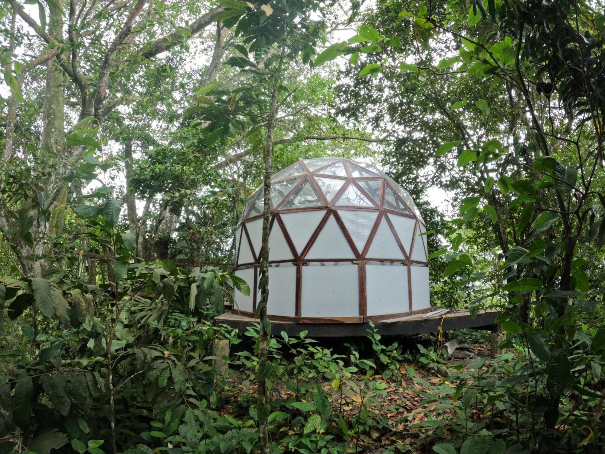 Taorayina Nature Lodge- Immersed In The Forest エル・ザイノ エクステリア 写真