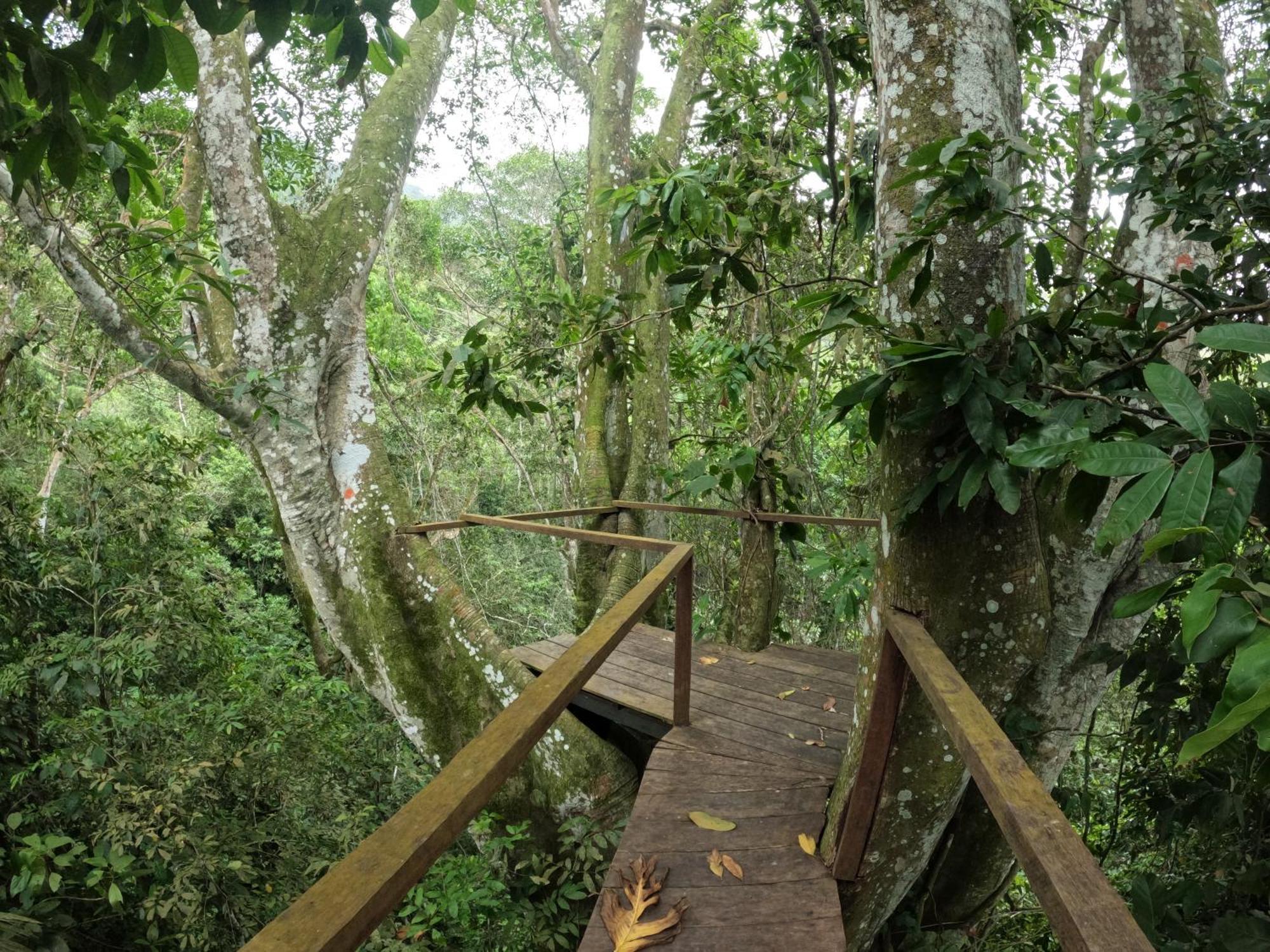 Taorayina Nature Lodge- Immersed In The Forest エル・ザイノ エクステリア 写真