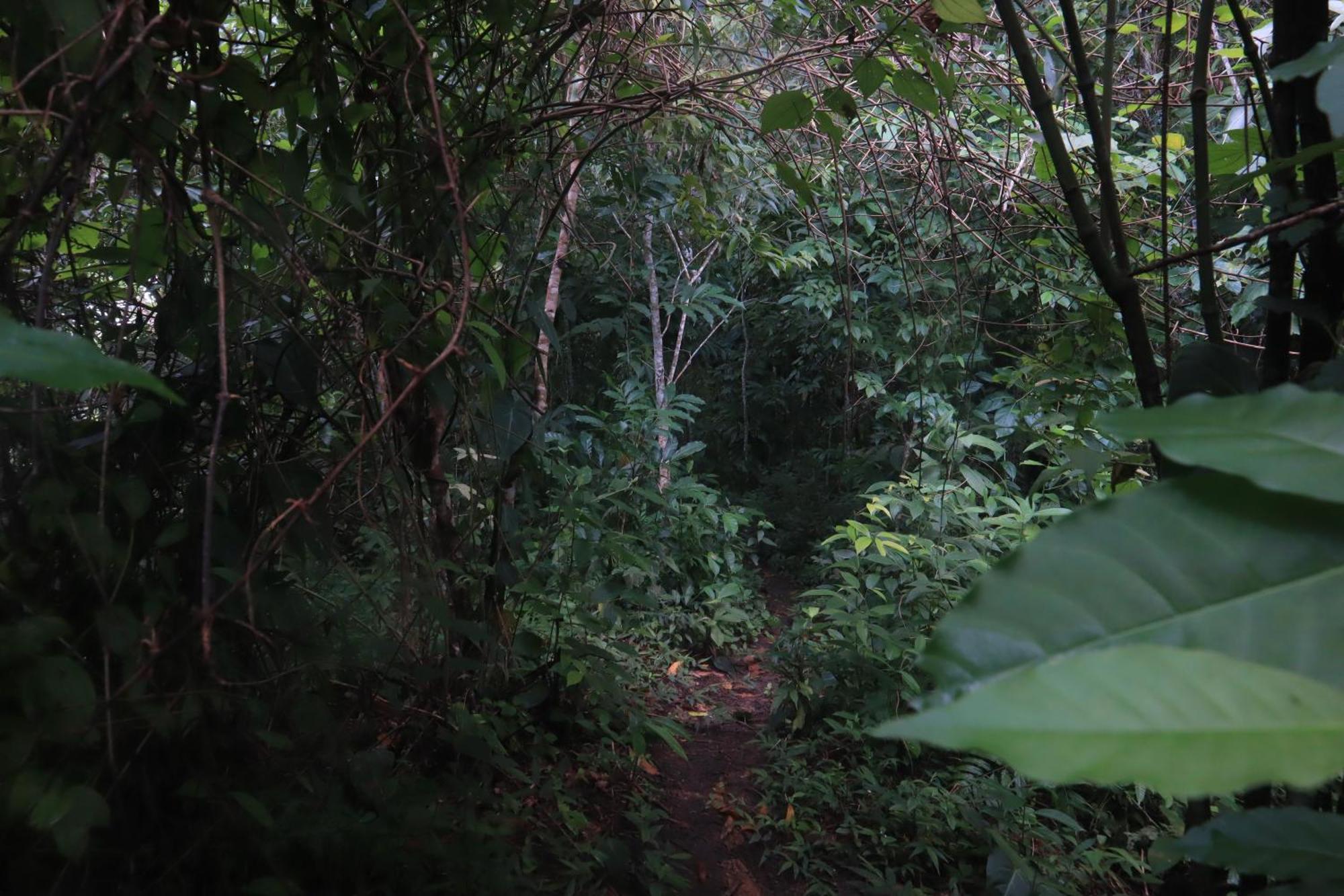 Taorayina Nature Lodge- Immersed In The Forest エル・ザイノ エクステリア 写真