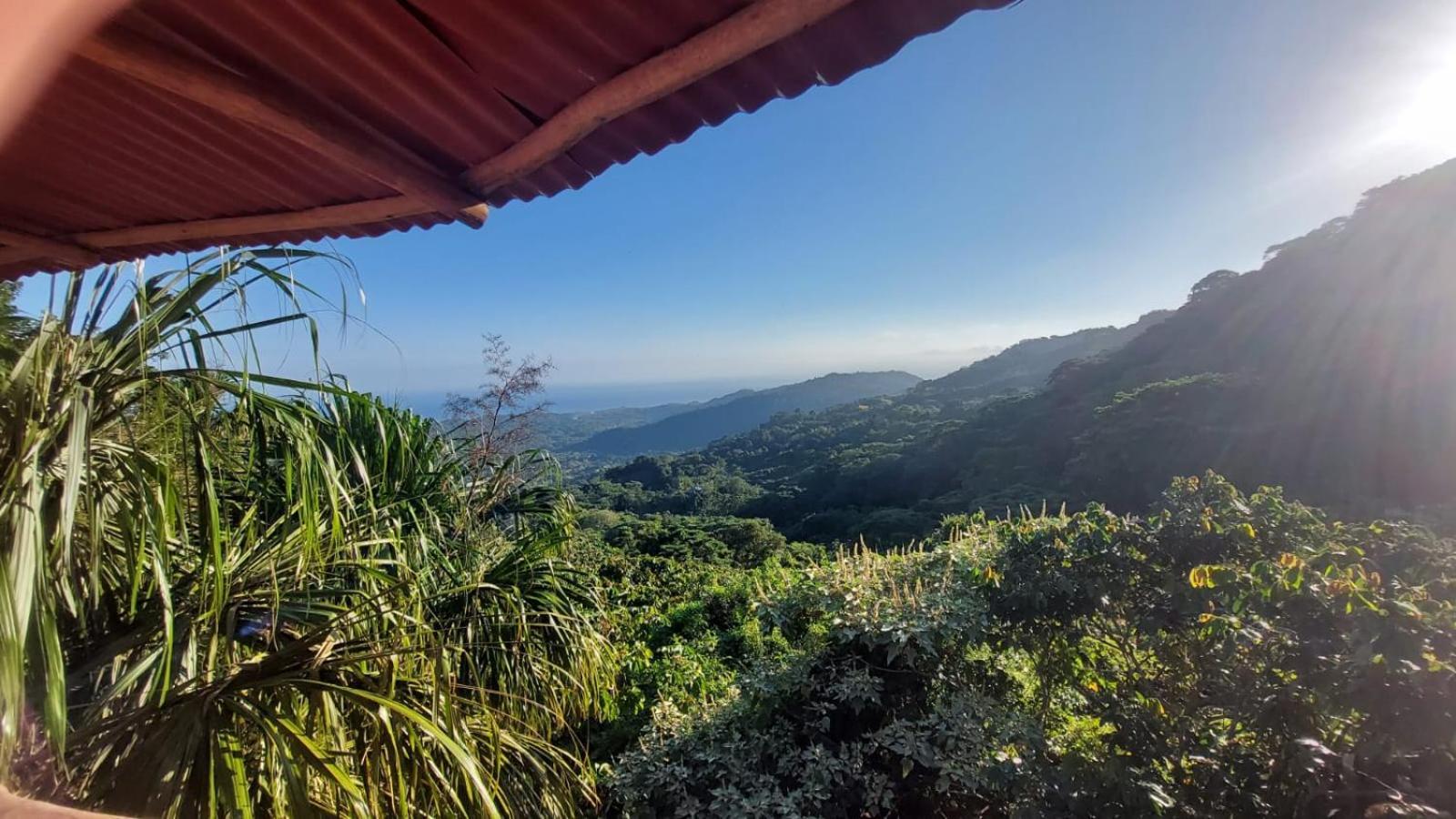 Taorayina Nature Lodge- Immersed In The Forest エル・ザイノ エクステリア 写真